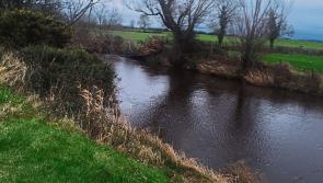 IFI to provide over €1m for transformative river restoration projects in 2025