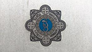 Gardai seek help to identify body found on beach