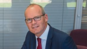 Women of Honour programme members express concerns over Simon Coveney's interim measures 
