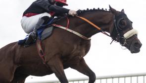 RACING TIPS - THURSDAY, DECEMBER 2: Brave Kingdom tipped for another win despite step up in class