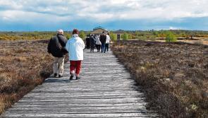 Two places in Offaly named on Irish Times 'Hidden Treasures' List