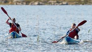 Roscrea Kayak Club is afloat and seeking new members