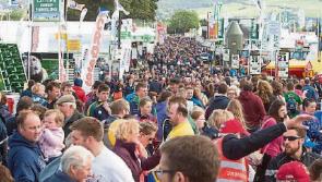 Forestry matters at National Ploughing in Tullamore