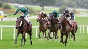 THE PUNTER'S EYE: Four horses to follow this weekend 