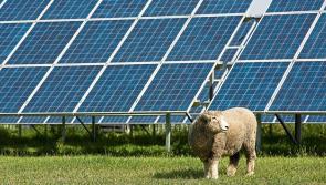 Plans for large solar farm in Offaly put on hold