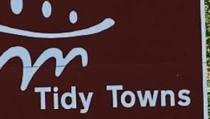 All the reports for all the Offaly towns and villages in this year's Tidy Towns