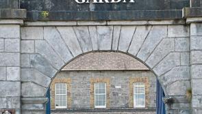 Garda&iacute; make arrests, seize drugs and firearm as part of an investigation into Tullamore deaths