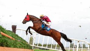 Bookies offer odds for Grand National after weights released 