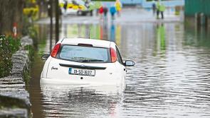 Measures taken to lower flood risk on the Shannon