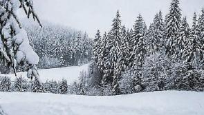 Prepping your garden as winter is coming