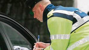 Offaly TD warns of drop in local Garda numbers 