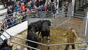 IFA behind financial support for low income farmers
