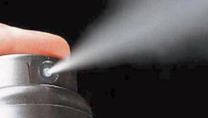 'Very aggressive' male pepper sprayed in Birr