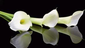 Local deaths and funeral details - Offaly (January 30)