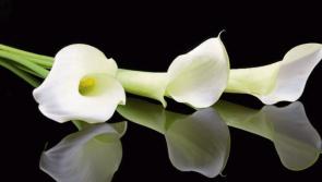 Local deaths and funeral arrangements (February 15)