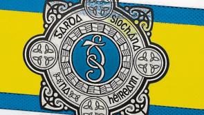 Gardai appeal for witnesses after car set on fire on busy street in Offaly