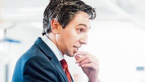 Health Minister Harris kicks Laois Offaly health queries into HSE's park