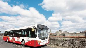 Bus Éireann's mandatory retirement age 'nonsensical and illogical' says Ryan O'Meara TD