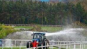 15 phrases that'll make you sound like an expert at Punchestown this week