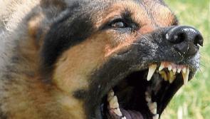 'Robust legislation' to enforce responsible dog ownership needed – Lowry