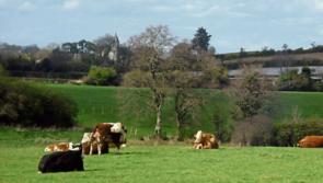 Eight tips to help hard working farmers stay healthy