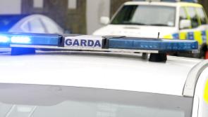 Gardai appeal for information following theft of quad bike in Offaly