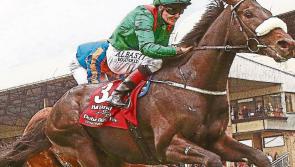 FEATURE: Pat Smullen's Irish Derby victories reveal the character of a true champion