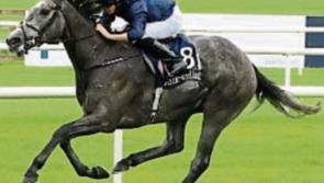 Three horses worth backing at York and the Curragh on Friday