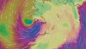 Road in Banagher impassable as tree comes down during Hurricane Ophelia