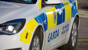 Pedestrian killed after being struck by car in North Tipperary 