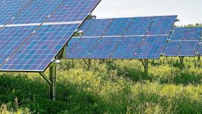 Green light for large solar farm in Offaly but plans for another put on hold