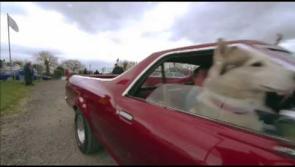 All roads lead to the Midands for fans of American automobiles