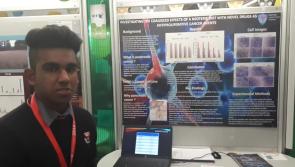 WATCH: Offaly student talks about his remarkable cancer research at the BT Young Scientist Exhibition 