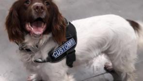€14,000 of cocaine, heroin and cannabis seized in Birr