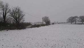 ALERT: More heavy snow falling in parts of Ireland as Met Eireann forecast long cold spell