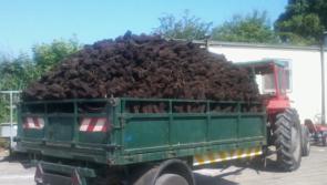 New law says local authorities responsible for enforcing turf sale ban