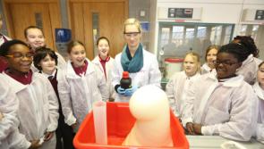 Midlands Science Festival taking place as part of Science Week
 
