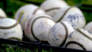 All-Ireland-winning Offaly hurler savages county board on Twitter