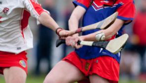 Drumcullen camogie notes