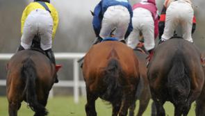 THE PUNTER'S EYE: Three horses worth backing for Offaly punters this evening 