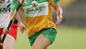 Offaly Camogie star Flannery chosen as Littlewoods Ireland ambassador