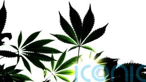 Growing expectation of Irish citizens’ assembly on drug use this year