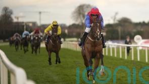Mullins assembling formidable Champion Bumper squad