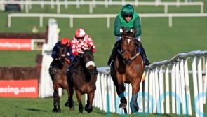 Blue Lord makes light work of Naas assignment