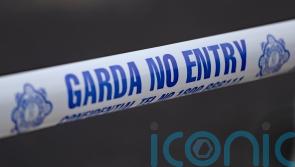 Man carried on car bonnet as he tried to stop thief dies