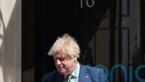 Sue Gray halted probe into event with ‘food and alcohol’ in Downing Street flat