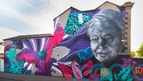 Street artists to make documentary about court battle with Dublin city council