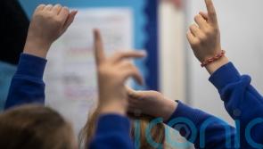 Plan to create special school centres branded ‘watered-down’ form of education