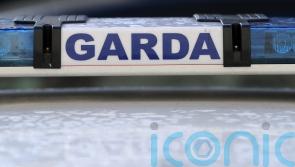 Woman dies and two children rescued after car enters River Lee