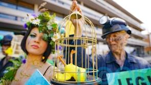 Campaigners picket ‘talking shop’ biodiversity conference
